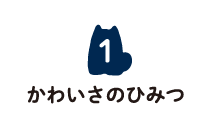 1 かわいさのひみつ