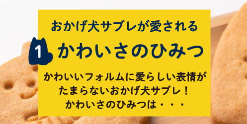 おかげ犬サブレが愛される 1 かわいさのひみつ かわいいフォルムに愛らしい表情がたまらないおかげ犬サブレ!かわいさのひみつは・・・