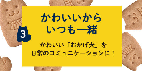 3 かわいいからいつも一緒 かわいい「おかげ犬」を日常のコミュニケーションに!