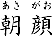 朝顔(あさがお)