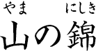 山の錦 ?やまのにしき?