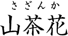 山茶花 ?さざんか?