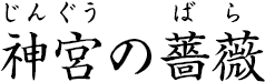 神宮の薔薇（じんぐうのばら）